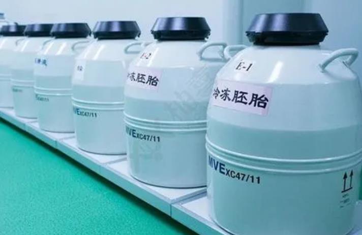 mvehth体会官方网页版