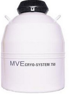 mvehth体会官方网页版