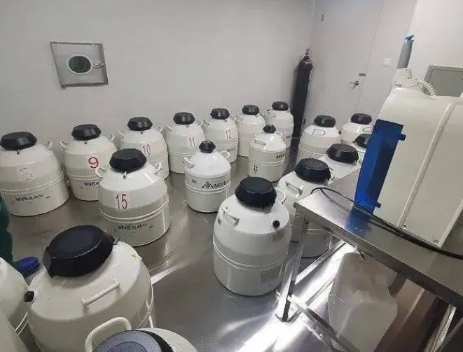mvehth体会官方网页版