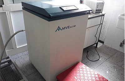 液氮低溫儲存容器MVE XLC-500帶TEC 2000 係統監視器